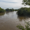 Уровень воды в реке еще высок — newsvl.ru