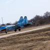 Применение тормозных парашютов при посадке сокращает тормозной путь самолета  — newsvl.ru