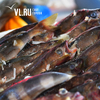 Китайская компания не заплатила за владивостокскую рыбу более 25 миллионов рублей