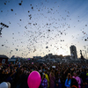 Около 7 вечера сотни шаров взмыли вверх — newsvl.ru