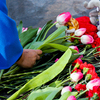 Большинство людей сегодня возлагают цветы на центральной площади — newsvl.ru