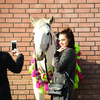 Горожане не только катаются на лошадях, но и делают с ними селфи — newsvl.ru