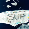 Участники акции выстроились на льдине в слово "SUP" — newsvl.ru