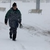 Мужчины с цветами - единственное, что напоминает о том, что сегодня 8 Марта — newsvl.ru