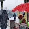 Торговцы пянсе на своих обычных местах — newsvl.ru