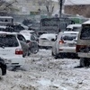 Луговая — newsvl.ru
