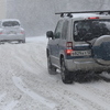 Луговая — newsvl.ru