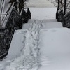 Виадуки с утра не чистили — newsvl.ru
