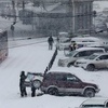Снегопад не остановил торговлю цветами — newsvl.ru