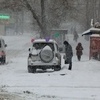 Снегопад не остановил торговлю цветами — newsvl.ru