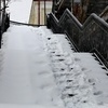 Виадуки с утра не чистили — newsvl.ru
