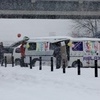 Снегопад не остановил торговлю цветами — newsvl.ru