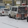Снегопад не остановил торговлю цветами — newsvl.ru