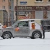 Снегопад не остановил торговлю цветами — newsvl.ru