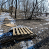 По лесу разбросан мусор и другие следы жизнедеятельности человека — newsvl.ru