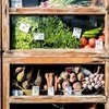 Бакалея — зелень и овощи — newsvl.ru