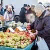 Некоторые сорта яблок местные, из Приморья — newsvl.ru