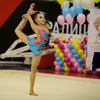 Гибкость и грация - неотъемлемая часть гимнастики — newsvl.ru