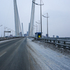 Золотой мост очищен — newsvl.ru
