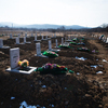 Более 100 невостребованных тел погребено на Русском — newsvl.ru