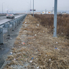 Около километра тянется мусорный шлейф — newsvl.ru