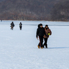 Кое-кто вышел просто прогуляться по льду — newsvl.ru