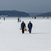 Рыбаков в бухте Новик уже много, несмотря на тонкий лед — newsvl.ru