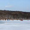 Более сотни человек вышли на лед бухты Новик — newsvl.ru