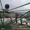 Елка будет высотой 28 метров — newsvl.ru
