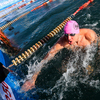 Соревнования по зимнему плаванию – новая возможность реализовать чемпионские амбиции — newsvl.ru