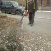 Скопившийся после шумных свадеб мусор из радужных конфетти рабочие сдули уличными пылесосами во двор жилого дома — newsvl.ru