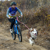 Байкджоринг - гонки велосипедистов с собакой — newsvl.ru