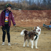 Каникросс – гонки бегунов с собаками — newsvl.ru