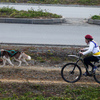 На некоторых участках маршрута участники давали собакам отдохнуть — newsvl.ru