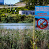 Раньше экологию озера нарушал лишь мусор, но сейчас из-за поломки канализации ситуация резко обострилась — newsvl.ru