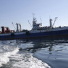 Семеро приморских моряков больше года не могут вернуться домой из Южной Африки — newsvl.ru