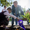 Первоклассники высадили во дворе школы деревья: по одному от каждого класса — newsvl.ru