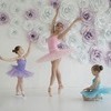 Кроме занятий для малышей, в школе балета Lil Ballerine есть и тренировки для взрослых — newsvl.ru