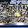 Встречается и охлажденная рыба — не только в заморозке — newsvl.ru