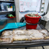 На кухне готовят еду для скатов и акул — newsvl.ru