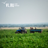 «Агрохолдинги стоят в очереди»: крупные сельхозпроизводители идут в Приморье за азиатскими покупателями