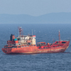 Продукты и лекарства доставили на задержанное в Южной Корее владивостокское судно «Палладий»