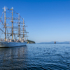 Японское судно Kaiwo Maru уже знакомо жителям Владивостока — newsvl.ru