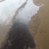 Жители Владивостока обнаружили разлив нефтепродуктов на побережье Шаморы. Фото Алены Смышляевой — newsvl.ru
