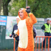 Кто-то бежал в костюме тигра — newsvl.ru