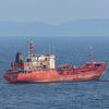 В Южной Корее задержали четвертого члена экипажа владивостокского судна «Палладий»