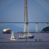 Вид украшает синее море, которое рассекают парусные яхты, катера и танкеры   — newsvl.ru