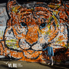 Владивостокцы раскрасили огромного тигра на центральной площади города (ФОТО)