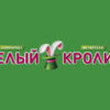 Хабаровск Белый Кролик Сайт Интернет Магазин