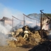 Причина пожара и виновники поджога пока неизвестны — newsvl.ru